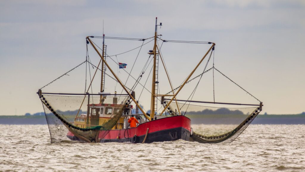 La pesca industriale utilizza imbarcazioni e tecniche molto nocive per l’ecosistema marino.
