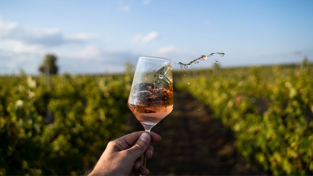 Il Bombino nero rosato è un pregiato vino rosè originario della Puglia.